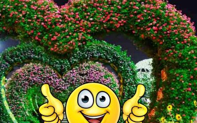 Szeretem a kertem – Őszi kertek szépségversenye – Online játék